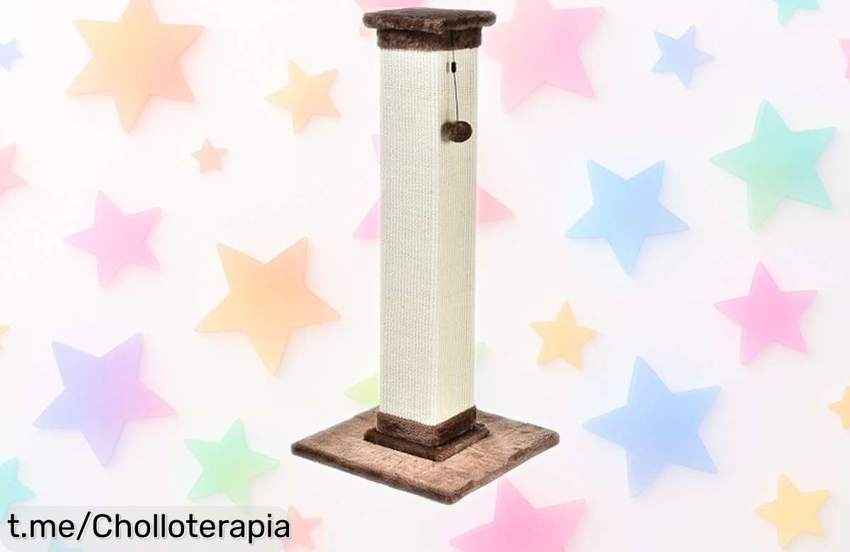 Rascador resistente para gatos de Amazon Basics: ¡super chollo en oferta para cuidar las uñas de tu minino y proteger tus muebles! No esperes más, él te lo agradecerá hoy.