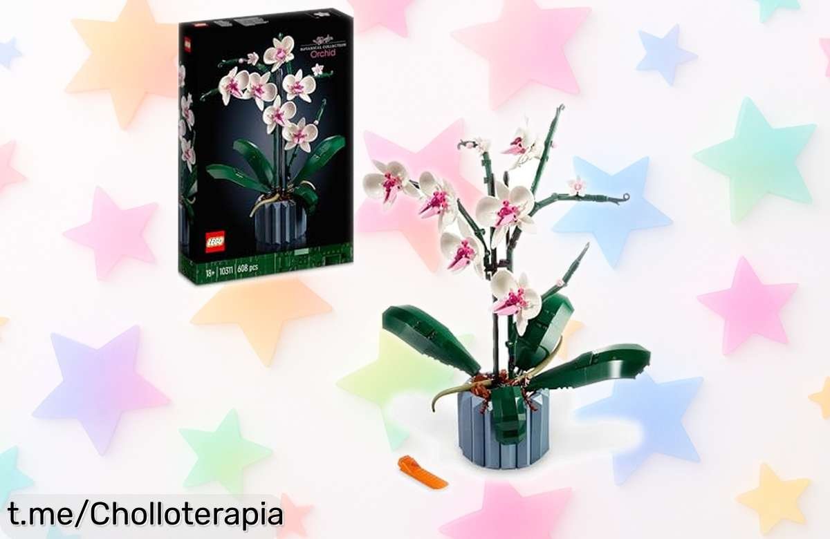 Set de orquídeas artificiales LEGO Botanicals 10311 con jarrón personalizable a precio loco, dale un toque vibrante a tu espacio y regálate momentos únicos ¡Compra ya antes que se acabe!