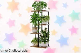 Soporte para plantas de interior Bamworld, diseño en capas y precio rebajado increíble: da vida a tu hogar ¡Apresúrate que vuelan y disfruta armándolo con los tuyos!