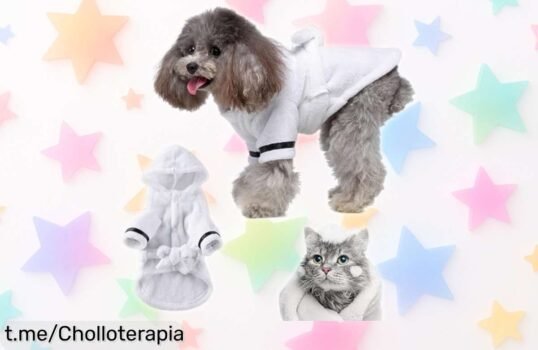 Toalla de microfibra superabsorbente para perros, ahora rebajada; dale a tu peludo el abrazo secante que se merece antes de que sea tarde.