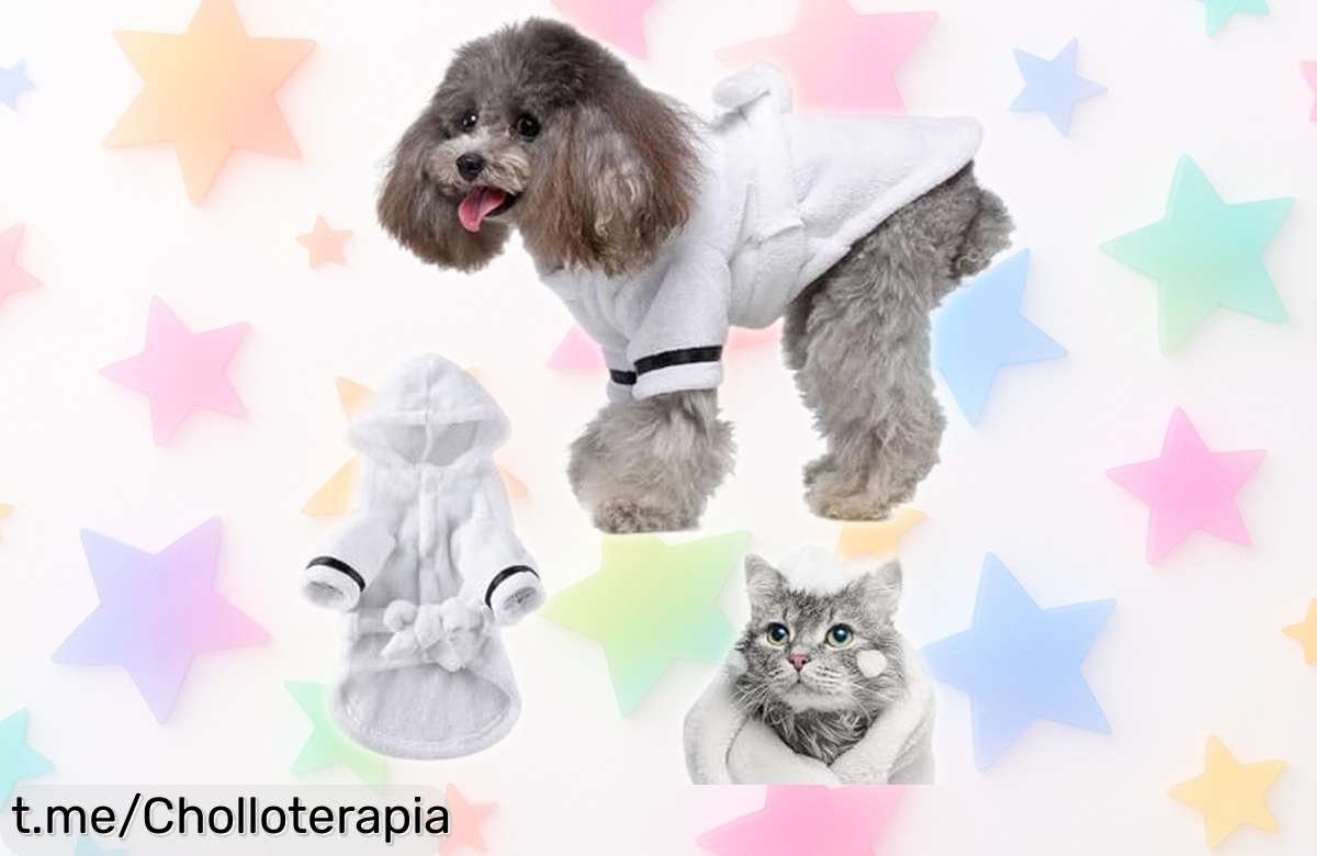 Toalla de microfibra superabsorbente para perros, ahora rebajada; dale a tu peludo el abrazo secante que se merece antes de que sea tarde.