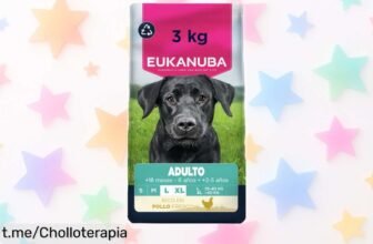 Alimento seco Eukanuba para perros grandes con pollo fresco: cuida su musculo y pelaje, ¡chollo a precio tirado que no puedes dejar pasar!