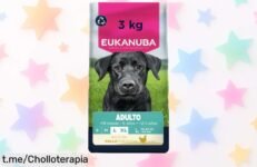 Alimento seco para perros grandes Eukanuba, en oferta irresistible para huesos fuertes; sorprendente caída de precio que se agota rápido, ¡no dejes pasar esta oportunidad única!