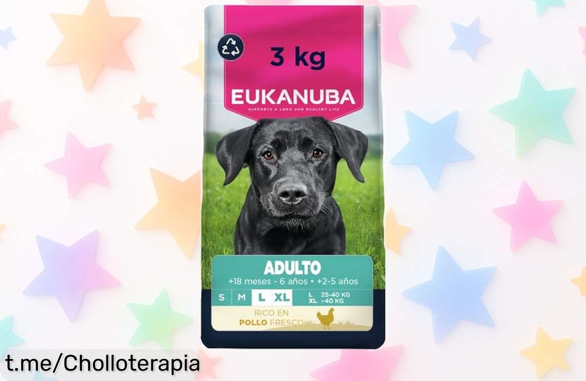 Alimento seco para perros grandes Eukanuba, en oferta irresistible para huesos fuertes; sorprendente caída de precio que se agota rápido, ¡no dejes pasar esta oportunidad única!