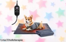 Almohadilla térmica para gatos y perros con temporizador: ¡Oferta irresistible que vuela por su protección líquida y fundas lavables! Dale calor a tu mascota ya mismo.