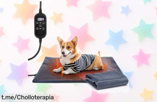 Almohadilla térmica para gatos y perros con temporizador: ¡Oferta irresistible que vuela por su protección líquida y fundas lavables! Dale calor a tu mascota ya mismo.