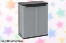 Armario Terry de 2 puertas con estante ajustable que aguanta 20 kg, ¡rebajado una barbaridad! No te quedes sin el tuyo y organiza tus espacios hoy mismo.