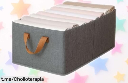 Caja organizadora XL KATTAO para tener todo en orden, se pliega fácil y está a un precio de ganga. ¡No te pierdas este ofertón que revolucionará tu espacio!