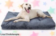 Cama para perro grande Nobleza que se adapta y cuida a tu mascota con un precio de ganga, haz que su descanso sea especial ¡No te quedes sin la suya!