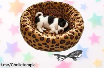 Cama térmica para gatos regulable en 3 niveles: ¡súper chollo que mantendrá a tu peludo calentito y tranquilo! No dejes pasar esta oportunidad única.