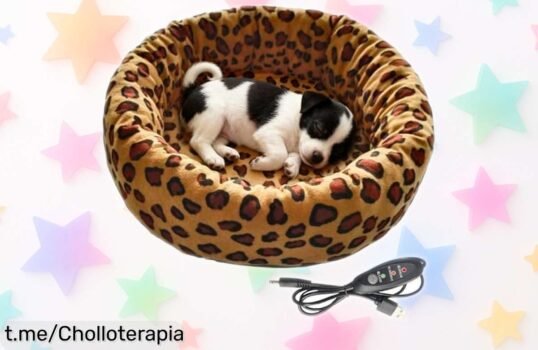 Cama térmica para gatos regulable en 3 niveles: ¡súper chollo que mantendrá a tu peludo calentito y tranquilo! No dejes pasar esta oportunidad única.