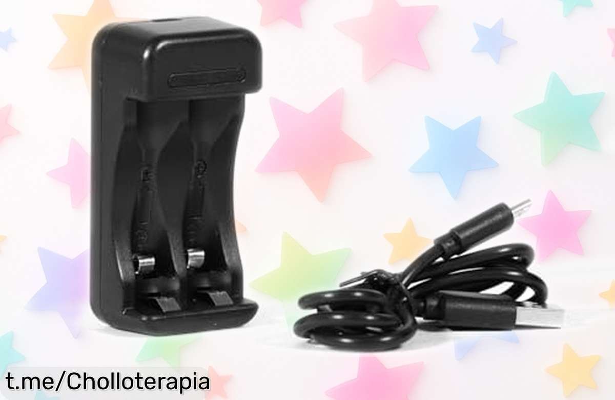 Cargador portátil para pilas AA y AAA con protección total y ranuras independientes a un precio de escándalo; ¡no te quedes sin el tuyo, este ofertón vuela!