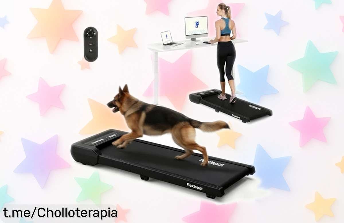 Cinta de andar y correr portátil FlexiSpot con mando a distancia y pantalla LED, ¡ofertón que vuela! Aprovecha esta ganga antes de que se acabe.