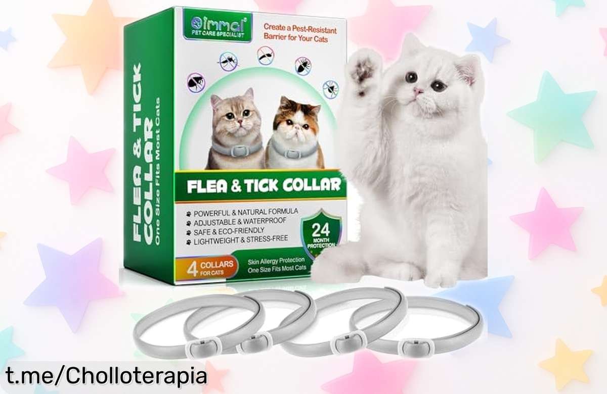 Collar antipulgas y garrapatas para gatos, pack de 4, ¡ofertón que cuida a tu peludo durante 6 meses! No te lo pierdas, mimarle nunca fue tan fácil.