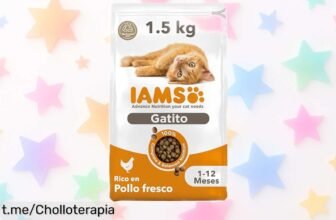 Comida seca para gatitos IAMS con pollo fresco, chollazo de 1,5 kg que cuida su salud y hará feliz a tu peludo amigo. ¡No te lo pierdas!