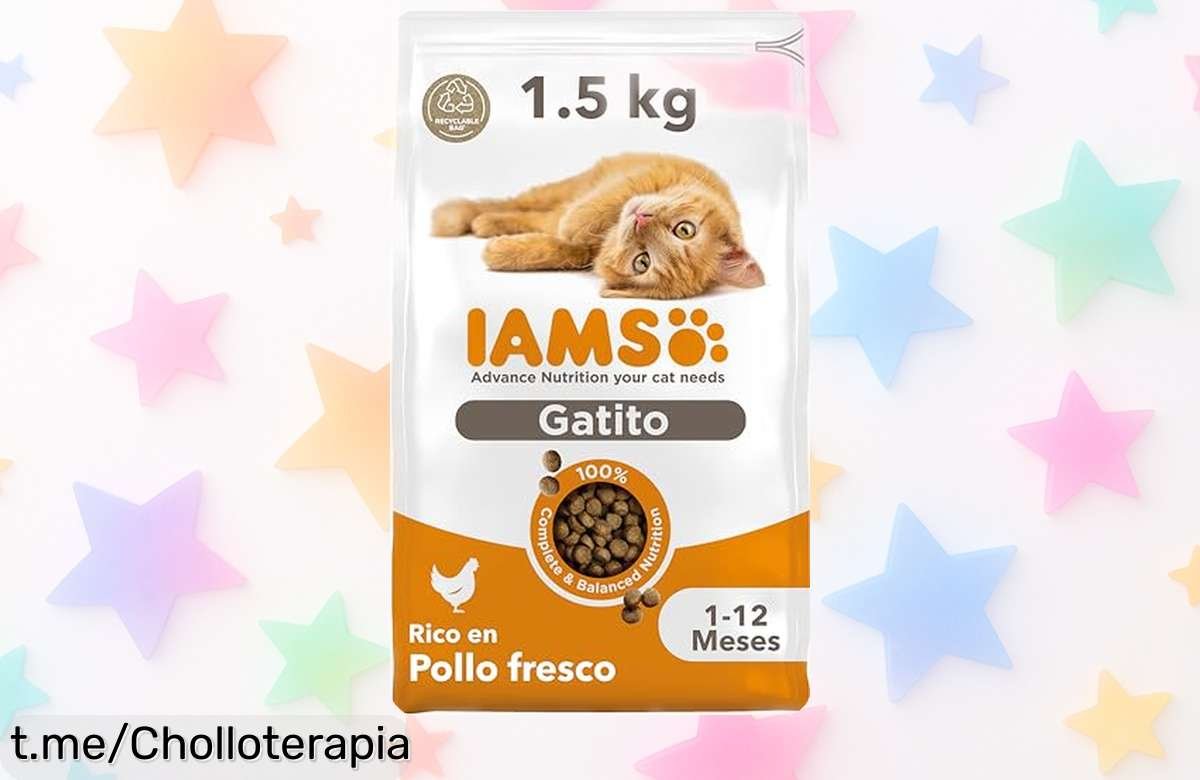 Comida seca para gatitos IAMS con pollo fresco, chollazo de 1,5 kg que cuida su salud y hará feliz a tu peludo amigo. ¡No te lo pierdas!