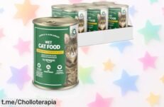 Deliciosa comida húmeda para gatos de pollo en gelatina - 6 latas con vitaminas y sin cereales a un precio que vuela; no te quedes sin hacer feliz a tu peludo hoy mismo.