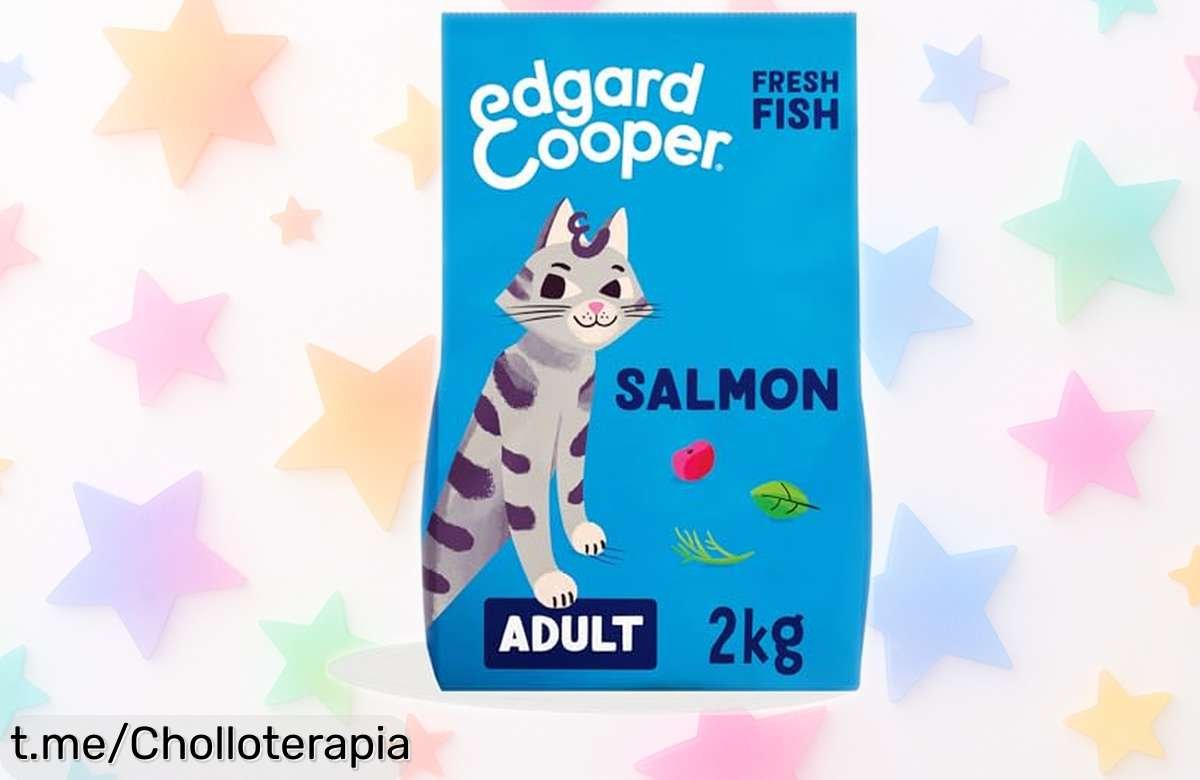 Deliciosa comida para gatos Edgard & Cooper de 2 kg con salmón fresco y sin cereales, ¡un super chollo que hará feliz a tu peludo! No te lo pierdas.