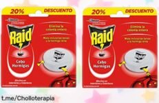 Elimina hormigas de tu hogar con las trampas Raid: pack de 2 a precio loco, adiós invasiones y disfruta sin preocupaciones por semanas inolvidables.