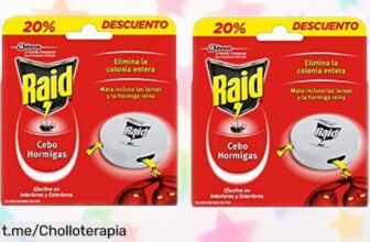 Elimina hormigas de tu hogar con las trampas Raid: pack de 2 a precio loco, adiós invasiones y disfruta sin preocupaciones por semanas inolvidables.