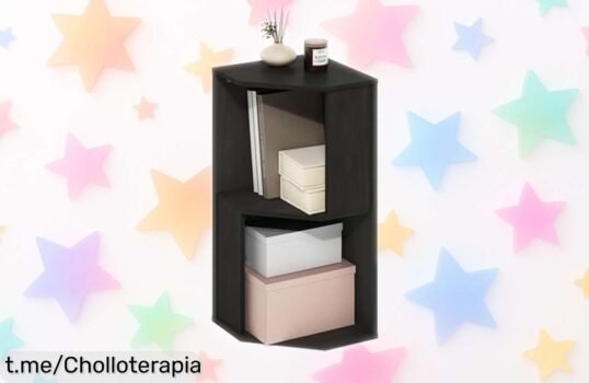 Estantería esquinera de 4 niveles Furinno ECON, antes a un precio elevado y ahora al alcance de todos. ¡Aprovecha este ofertón para organizar tu espacio y dale vida a cada rincón!