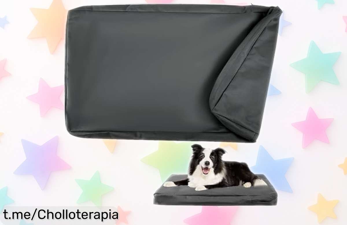 Funda impermeable para cama de perro DUJUIKE, precio bajado brutal y tus mascotas merecen lo mejor. ¡Hazte con la tuya antes que vuelen!