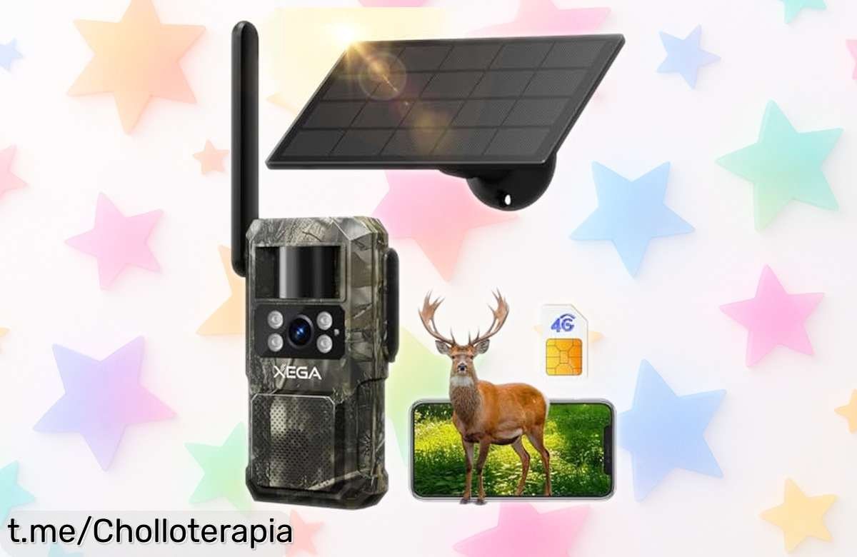 Increíble cámara de caza 4G con batería solar y visión nocturna, ¡ahora a precio de ganga para que no te pierdas nada! ¡No dejes pasar esta oportunidad única!