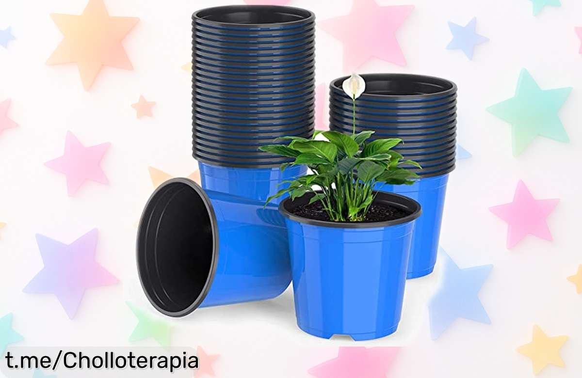 Increíble pack de 50 macetas pequeñas LATERN a precio loco, ideal para que tus plantas florezcan sin complicaciones. ¡No dejes pasar este ofertón exclusivo!