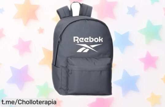 Mochila Reebok Ashland para portátil de 15,6 pulgadas, organizada y con un ofertón que no puedes dejar escapar: ¡lleva todo sin complicaciones y disfruta cada aventura!