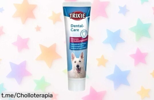 Pasta de dientes Trixie para perros, sabor ternera, ¡super chollo que elimina placa y sarro mientras mantiene su aliento fresquito a un precio rebajado!