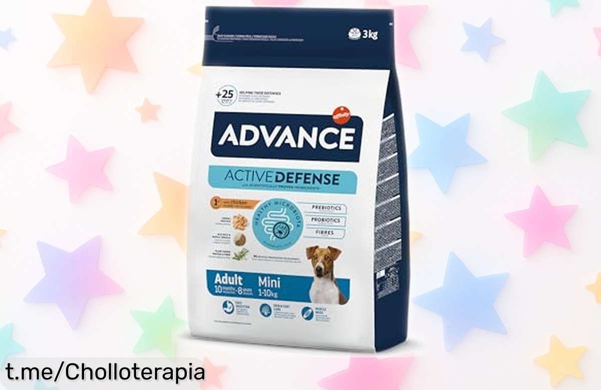 Pienso Advance Mini para perros pequeños adultos con pollo, rebajado una barbaridad: cuida sus músculos y brillo natural. ¡No dejes que se agote, me gustaría verlo tan feliz!