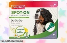 Protege a tu perro grande con pipetas Beaphar: 6 unidades que eliminan pulgas y garrapatas por muuuuchos meses a un precio locura, ¡tu mejor amigo te lo agradecerá!