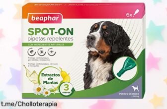 Protege a tu perro grande con pipetas Beaphar: 6 unidades que eliminan pulgas y garrapatas por muuuuchos meses a un precio locura, ¡tu mejor amigo te lo agradecerá!