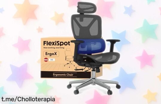 Silla de oficina ergonómica FLEXISPOT ErgoX con soporte lumbar, ajuste 3D y precio de locos; siente la diferencia en tu trabajo antes que se agote esta oferta.
