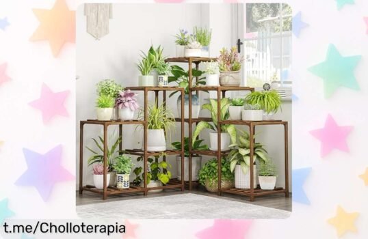 Soporte de madera para plantas Bamworld con 5 niveles y capacidad para 13 macetas: ofertón que volará, ¡hazte ya con él y convierte tu hogar en un oasis verde!