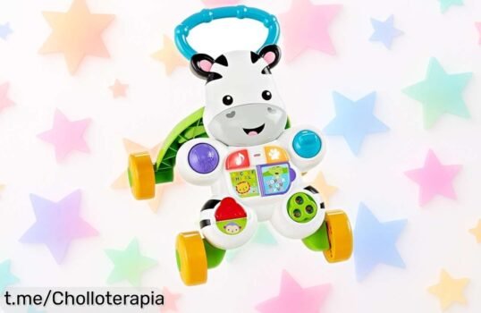 Andador correpasillos para bebés FisherPrice DLD87 con juegos y canciones a un precio de ganga que hará sonreír a tu pequeño mientras da sus primeros pasos.