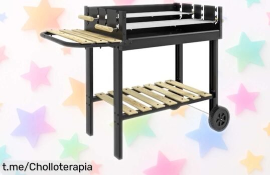 Barbacoa de carbón portátil Outsunny con parrillas ajustables: ¡rebajada y perfecta para disfrutar tus cenas al aire libre sin complicaciones!