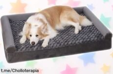 Cama para perros medianos KSIIA con borde almohada que cuida sus huesitos a un precio de ganga, porque tu mejor amigo merece lo mejor en comodidad y amor. ¡No te quedes sin la suya!