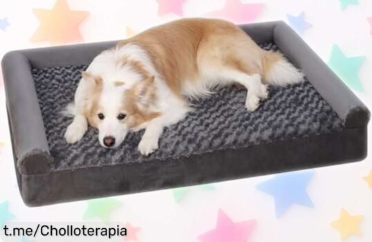 Cama para perros medianos KSIIA con borde almohada que cuida sus huesitos a un precio de ganga, porque tu mejor amigo merece lo mejor en comodidad y amor. ¡No te quedes sin la suya!