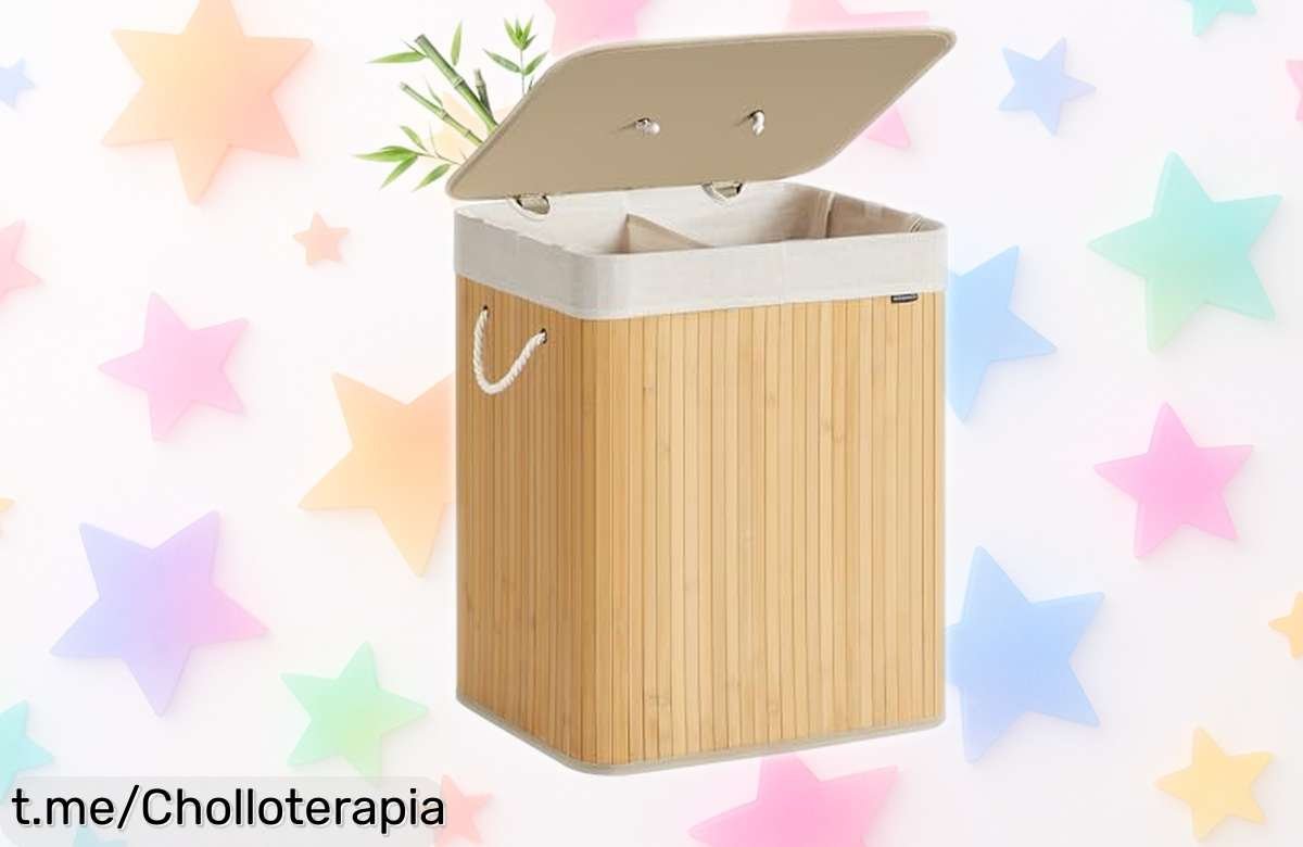 Cesto de ropa sucia SONGMICS: Ofertón resistente con tapa y dos compartimentos para una colada sin líos, ¡aprovecha el precio loco y mantén tu hogar ordenado!