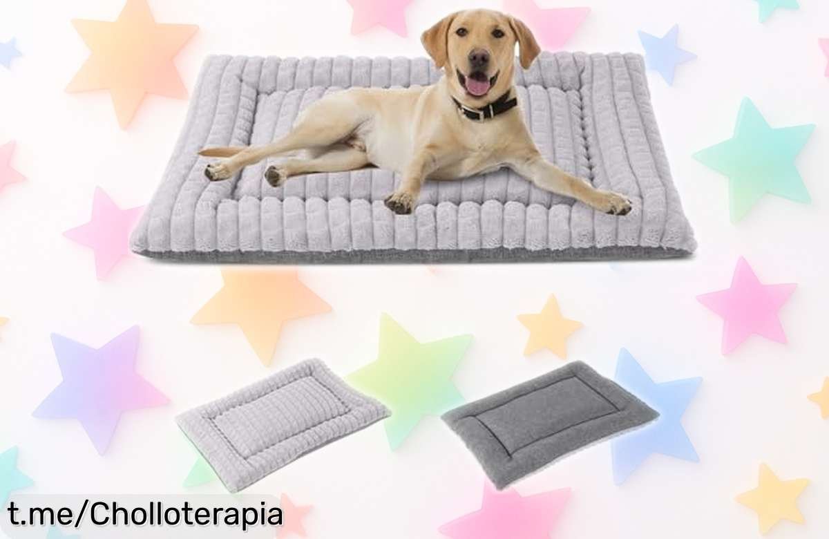 Colchoneta reversible IEEUMLER para perros y gatos, suave y lavable a precio regalado: ¡dale a tu peludo el mejor descanso sin gastar de más!