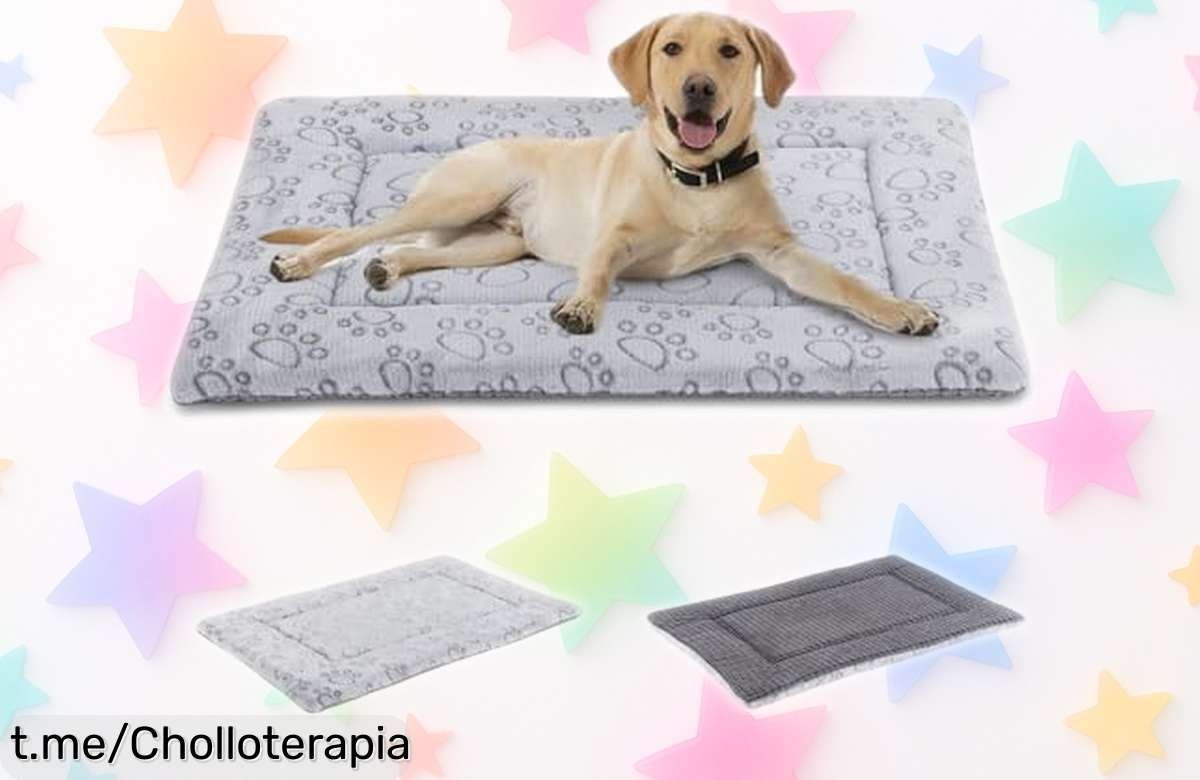 Colchoneta reversible para perros y gatos IEUUMLER, el ofertón suave y calentita que tu peludo merece. No dejes pasar esta oportunidad única de mimarlo a lo grande.