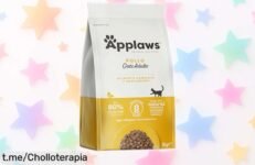 Deliciosa comida seca Applaws para gatos con pollo y omega: ¡ofertón de 2 kg que hará brillar el pelaje de tu felino! Mima a tu amigo peludo hoy mismo.