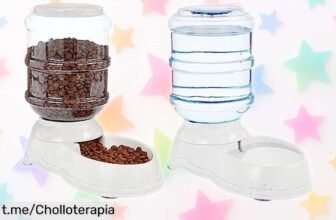 Fantástico dispensador de agua y comida para mascotas Amazon Basics, ¡aprovecha este ofertón que hará tu vida más fácil y evitará líos con tus amigos peludos!