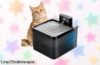 Fuente inalámbrica DMUUPEW para gatos: ¡agua fresquita todo el día y sin ruidos! Aprovecha este chollazo que tus peluditos merecen, no dejes pasar esta oportunidad única.