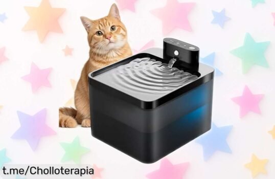 Fuente inalámbrica DMUUPEW para gatos: ¡agua fresquita todo el día y sin ruidos! Aprovecha este chollazo que tus peluditos merecen, no dejes pasar esta oportunidad única.