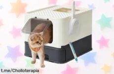 Gran caja arenero para gatos Feandrea con bandeja extraíble y puerta ajustable, ¡aprovecha este ofertón que transforma la limpieza en casa!