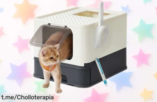 Gran caja arenero para gatos Feandrea con bandeja extraíble y puerta ajustable, ¡aprovecha este ofertón que transforma la limpieza en casa!