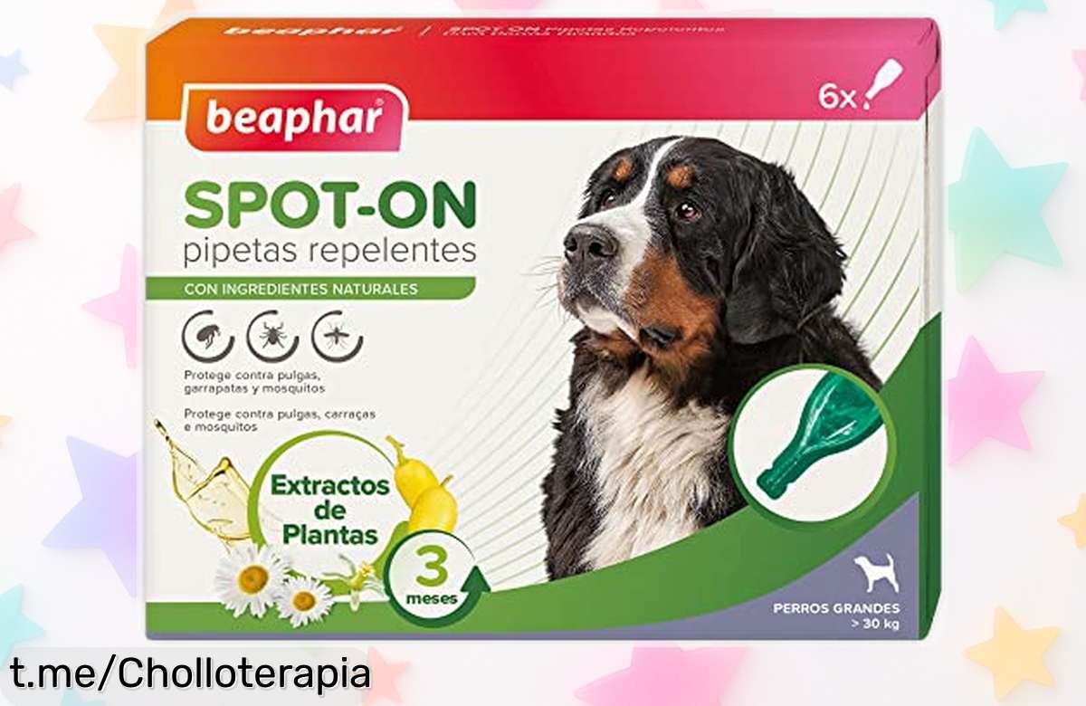 Impresionante pack de 6 pipetas Beaphar para perros grandes a precio loco, ¡protegerás a tu mejor amigo por tres meses! No dejes pasar esta oferta y cuida su salud hoy mismo.