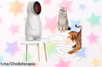 Juguete LED recargable para gatos y cachorros que divertirá a tu peludo con 3 velocidades; ¡no dejes pasar esta oferta única y hazlo feliz ya!